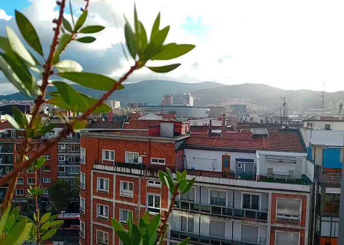 Estudio Deusto Bilbao
